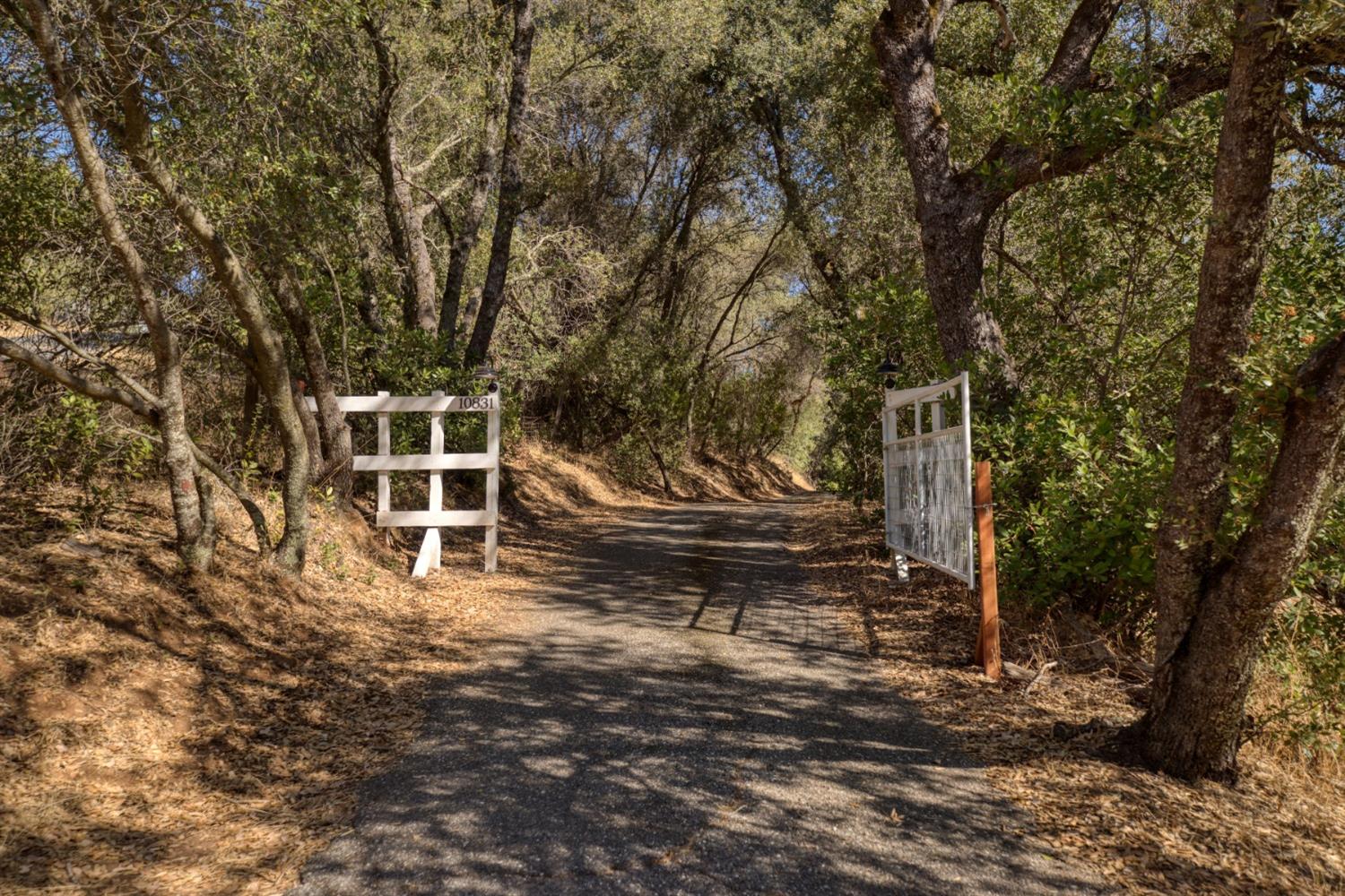 Detail Gallery Image 2 of 50 For 10831 Upper Previtali Rd, Jackson,  CA 95642 - 3 Beds | 2 Baths