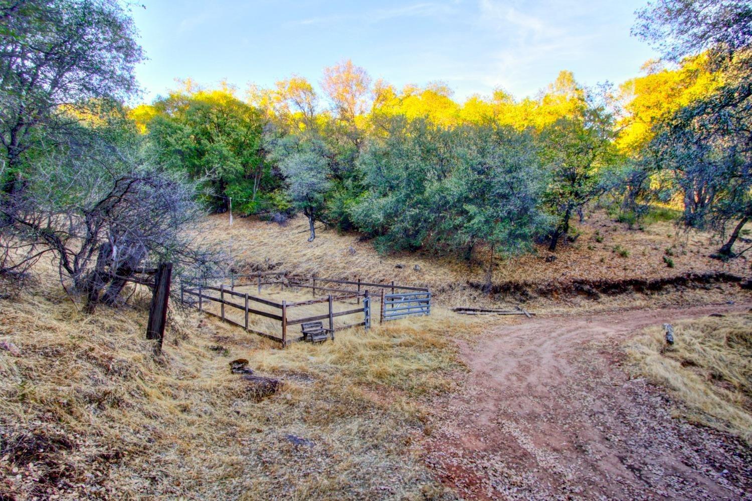 Detail Gallery Image 46 of 50 For 10831 Upper Previtali Rd, Jackson,  CA 95642 - 3 Beds | 2 Baths