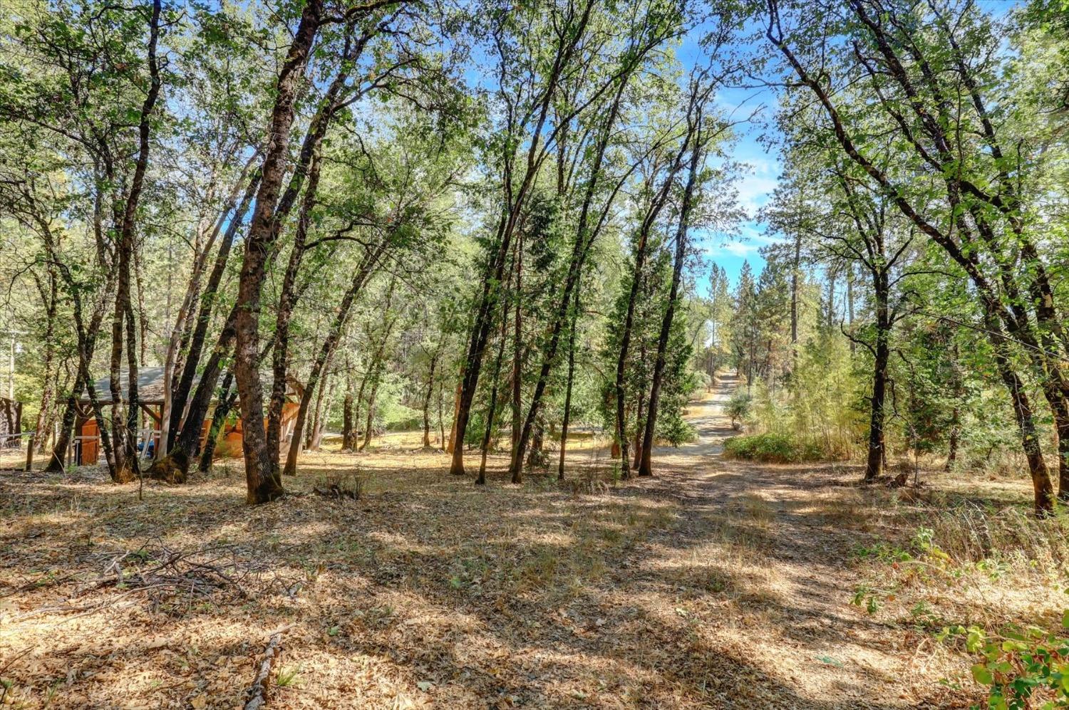 Detail Gallery Image 59 of 89 For 12936 Hidden Valley Rd, Grass Valley,  CA 95949 - 2 Beds | 1 Baths