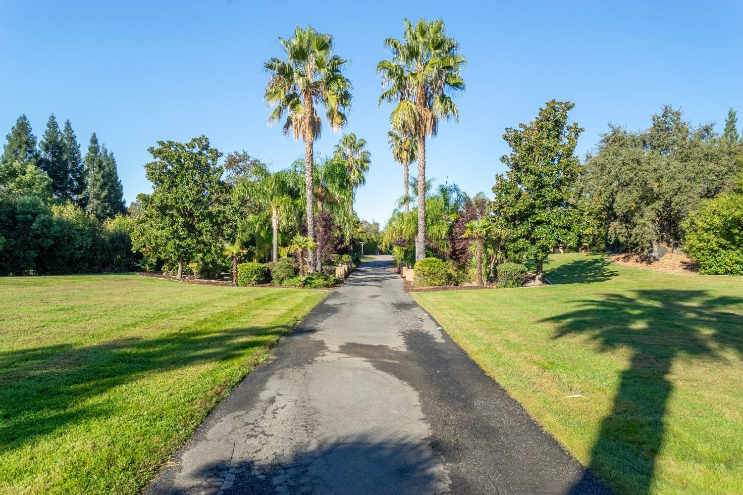 Detail Gallery Image 93 of 99 For 1105 Park Lake Ct, Newcastle,  CA 95658 - 4 Beds | 4/2 Baths