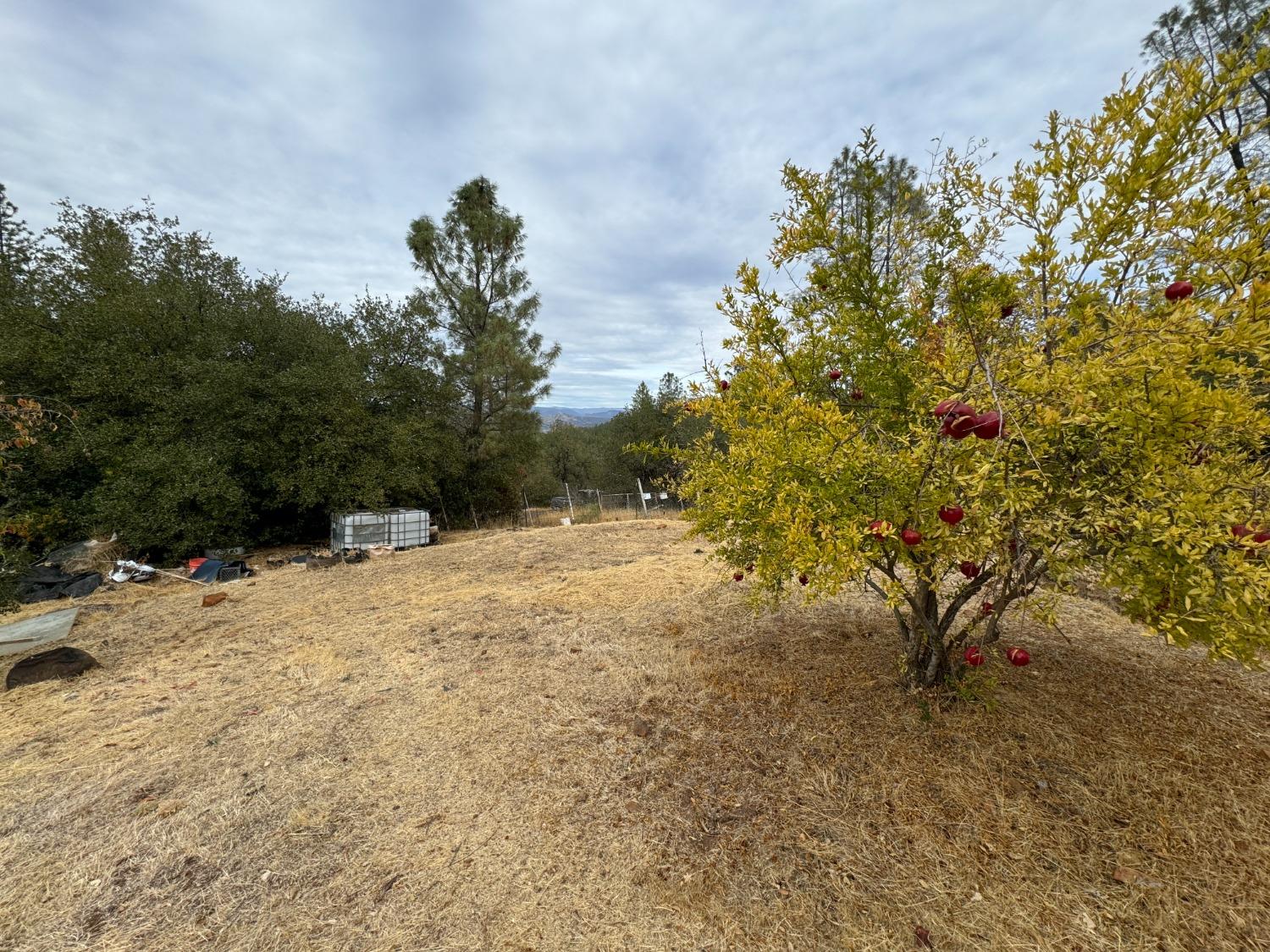 Detail Gallery Image 40 of 75 For 176 Bandit Ln, Oroville,  CA 95966 - 2 Beds | 1/1 Baths