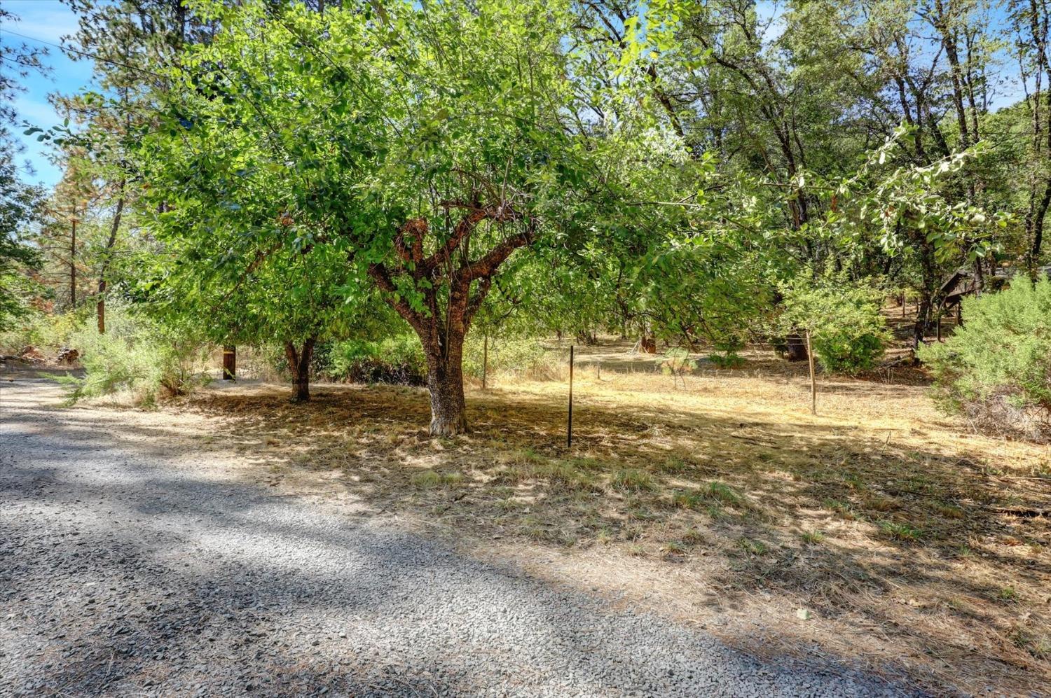 Detail Gallery Image 76 of 89 For 12936 Hidden Valley Rd, Grass Valley,  CA 95949 - 2 Beds | 1 Baths