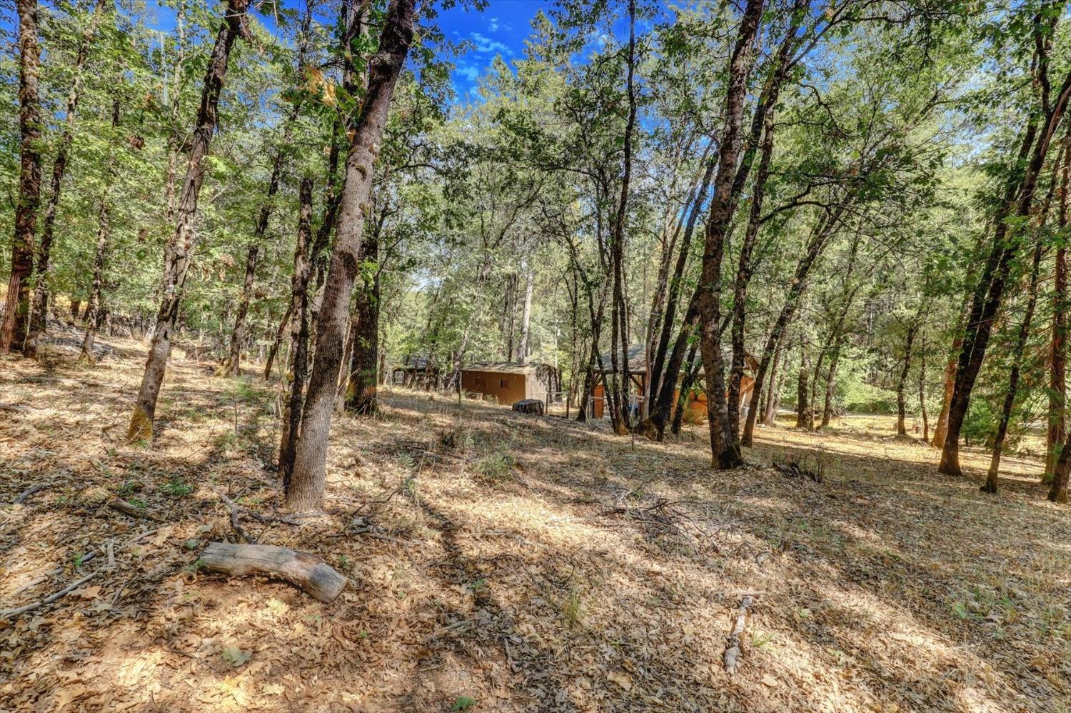 Detail Gallery Image 79 of 89 For 12936 Hidden Valley Rd, Grass Valley,  CA 95949 - 2 Beds | 1 Baths