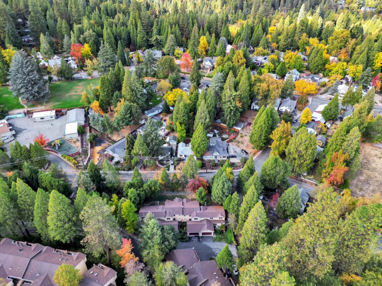 Detail Gallery Image 63 of 73 For 350 Bridge Way, Nevada City,  CA 95959 - 3 Beds | 2/1 Baths