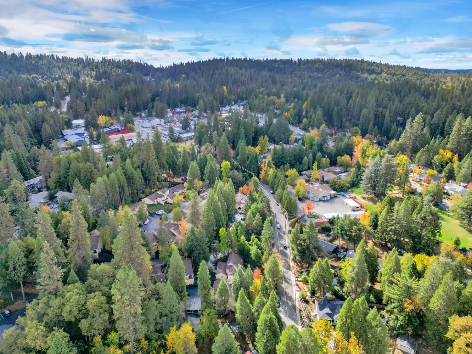 Detail Gallery Image 61 of 73 For 350 Bridge Way, Nevada City,  CA 95959 - 3 Beds | 2/1 Baths