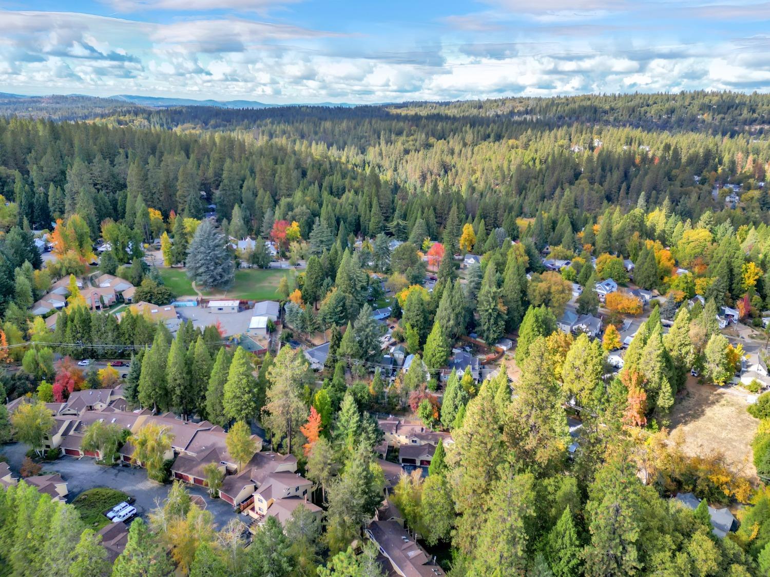 Detail Gallery Image 62 of 73 For 350 Bridge Way, Nevada City,  CA 95959 - 3 Beds | 2/1 Baths