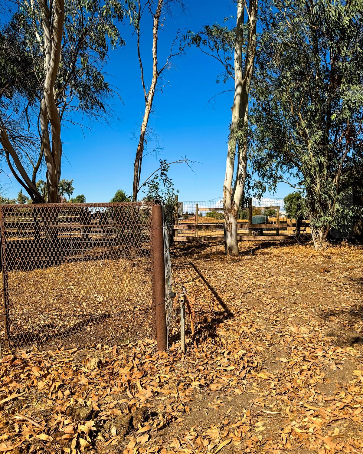 Detail Gallery Image 51 of 86 For 17156 Mark Rd, Madera,  CA 93636 - 3 Beds | 2 Baths