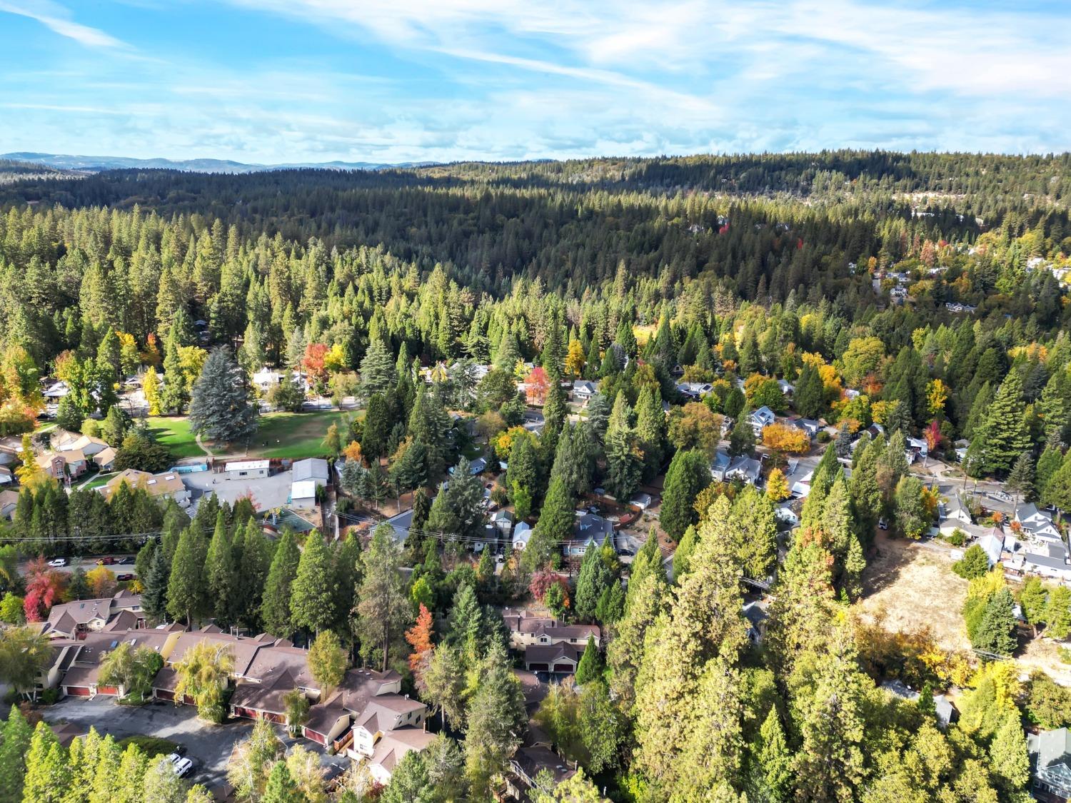 Detail Gallery Image 56 of 73 For 350 Bridge Way, Nevada City,  CA 95959 - 3 Beds | 2/1 Baths