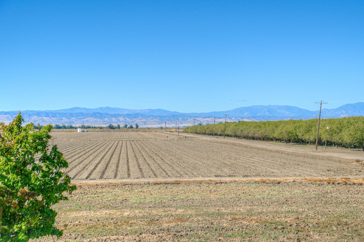 Holloway Road, Colusa, California image 36