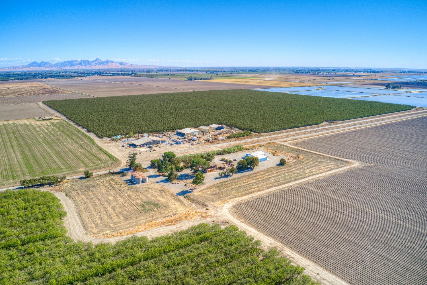 Holloway Road, Colusa, California image 5