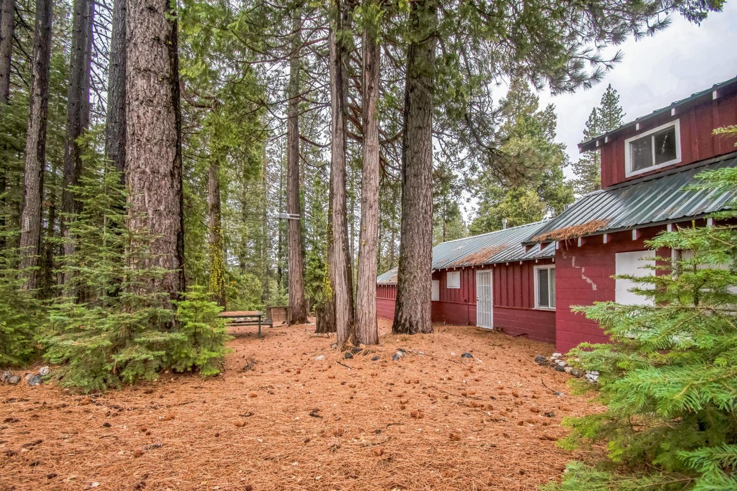 Warren Hill Road, Strawberry Valley, California image 19