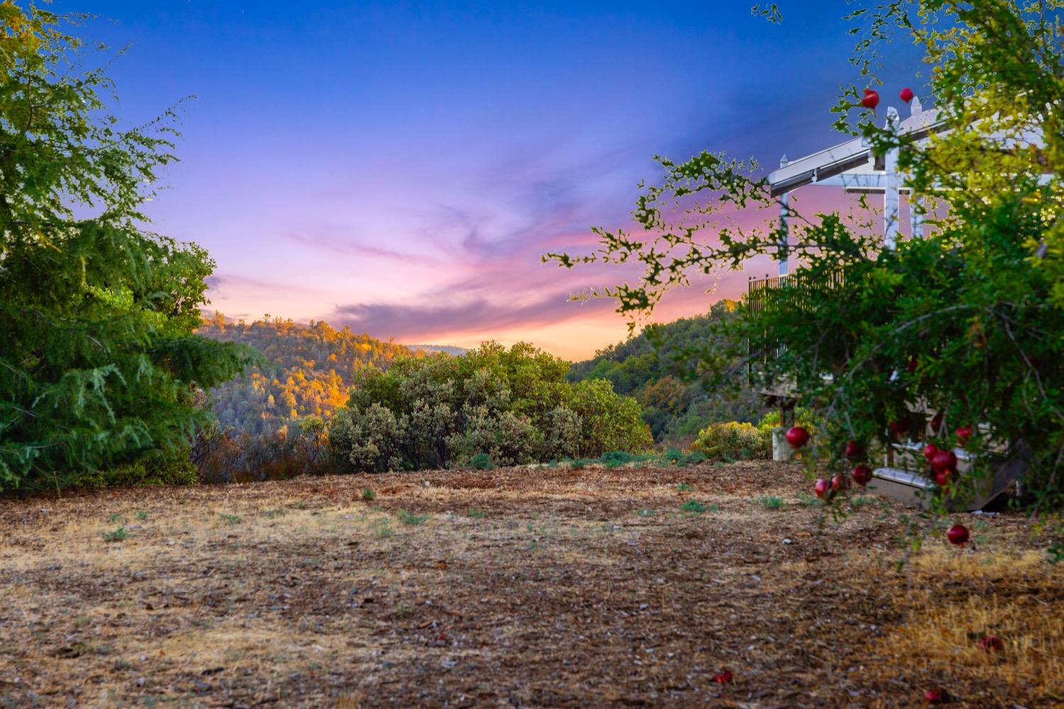 Detail Gallery Image 43 of 53 For 6281 Chablis Dr, Shingle Springs,  CA 95682 - 3 Beds | 2 Baths