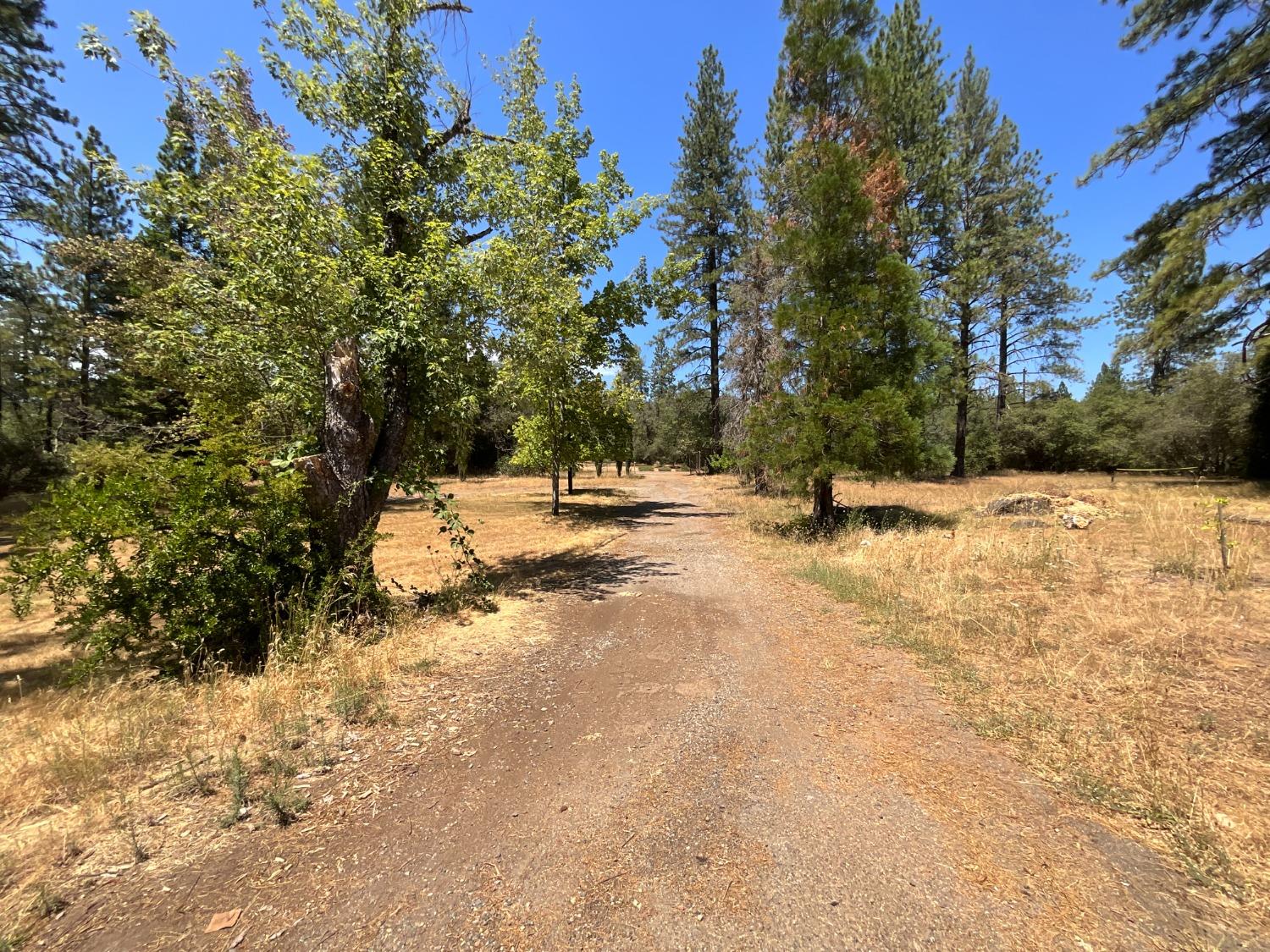 Detail Gallery Image 34 of 37 For 9340 Rices Texas Hill Rd #848,  Oregon House,  CA 95962 - 6 Beds | 4/1 Baths