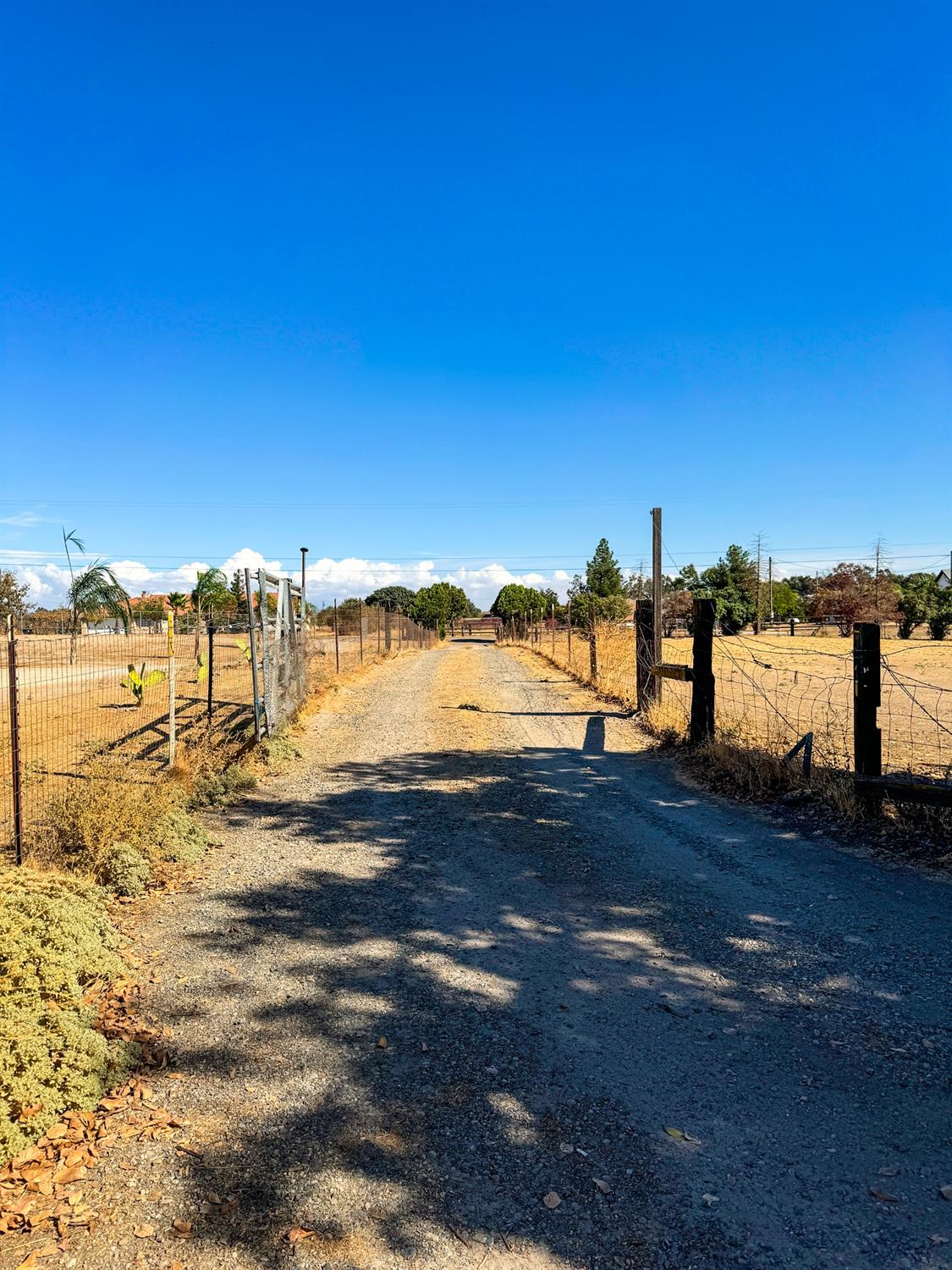 Mark Road, Madera, California image 3