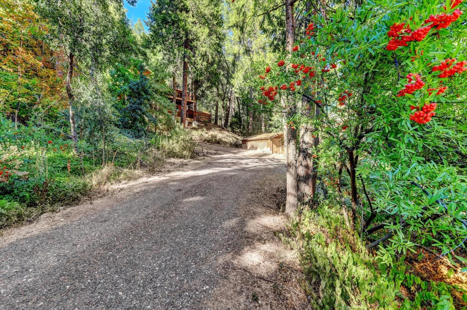 Detail Gallery Image 71 of 96 For 13889 Gas Canyon Rd, Nevada City,  CA 95959 - 3 Beds | 2 Baths