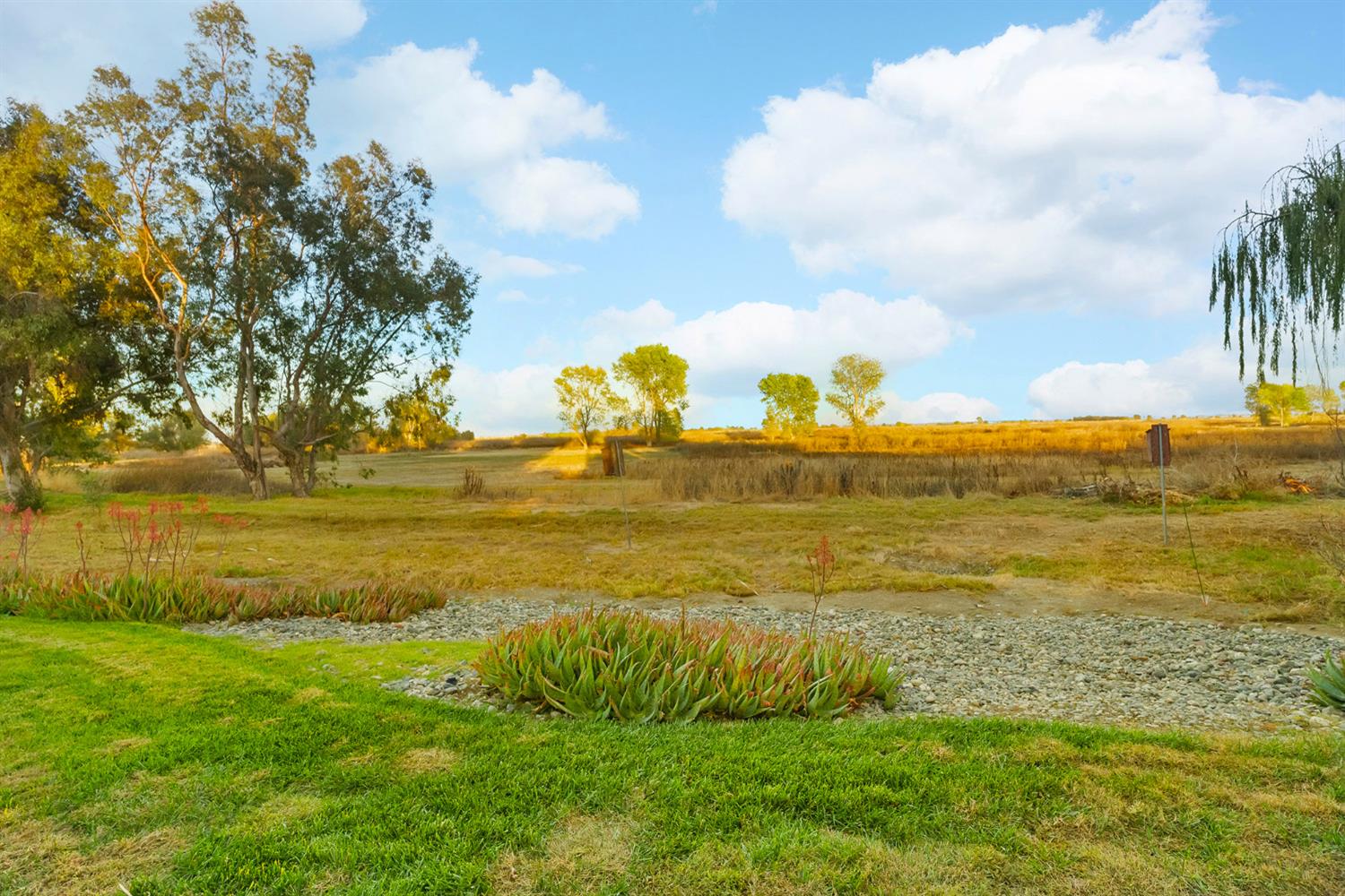 Detail Gallery Image 65 of 67 For 6177 Norman, Princeton,  CA 95970 - 3 Beds | 2/2 Baths