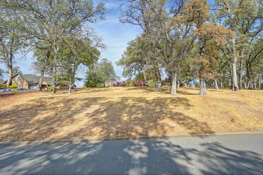 Austin Forest Circle, Auburn, California image 1