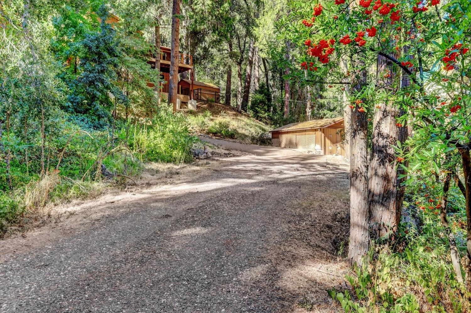 Detail Gallery Image 72 of 96 For 13889 Gas Canyon Rd, Nevada City,  CA 95959 - 3 Beds | 2 Baths