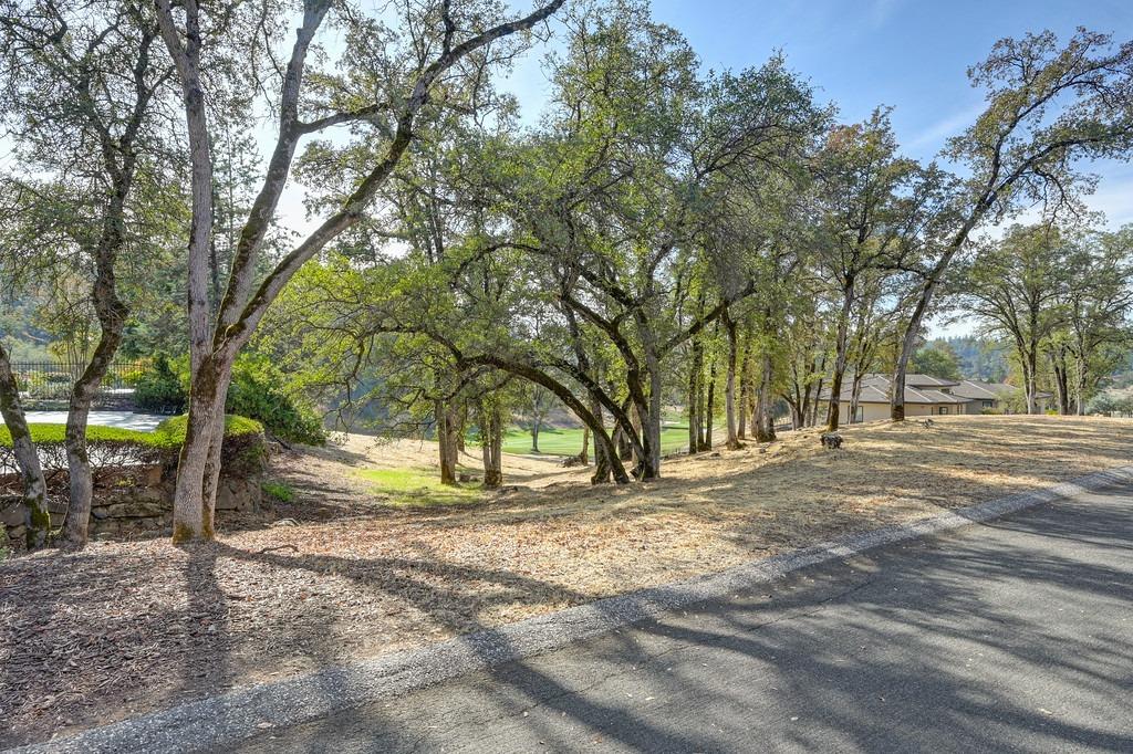 Austin Forest Circle, Auburn, California image 6