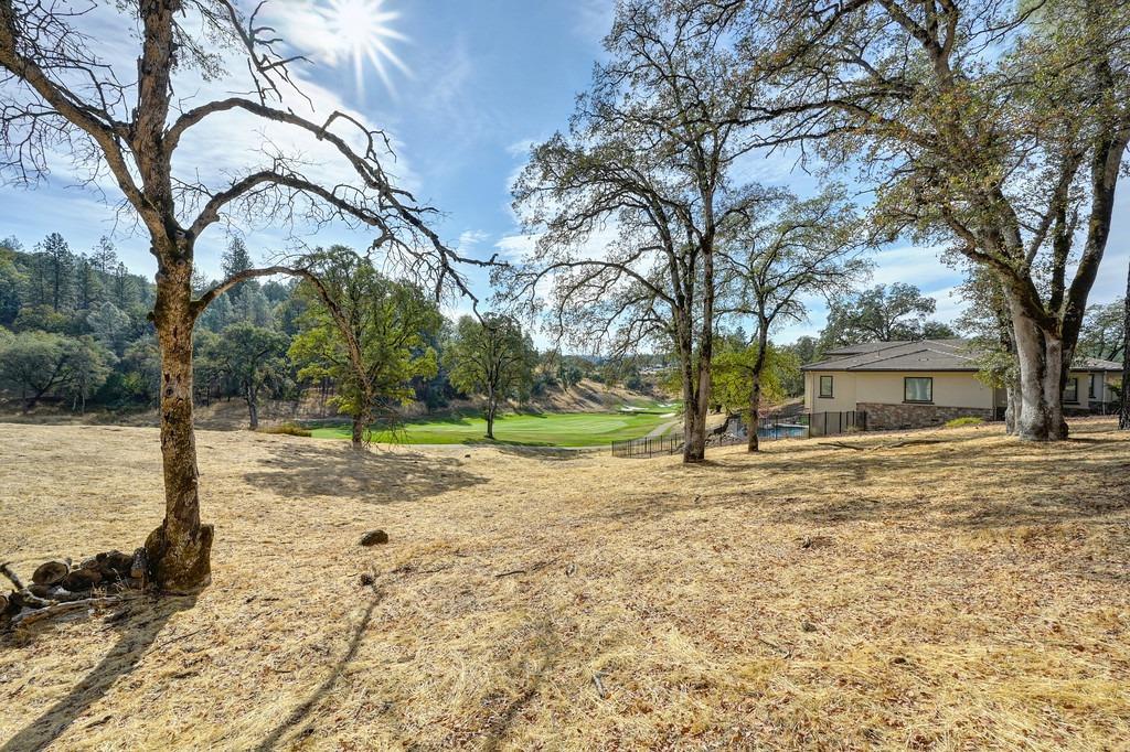 Austin Forest Circle, Auburn, California image 1