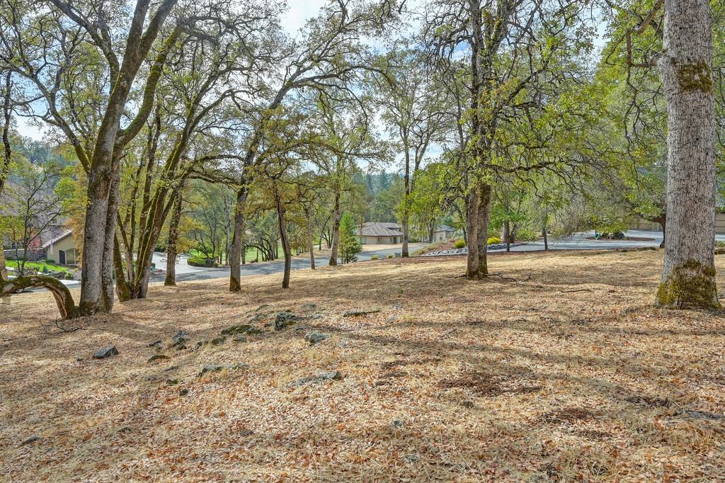 Austin Forest Circle, Auburn, California image 15