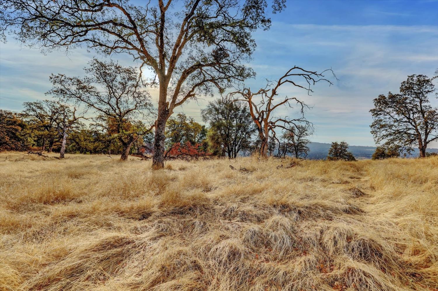 Ballantree Lane, Grass Valley, California image 30