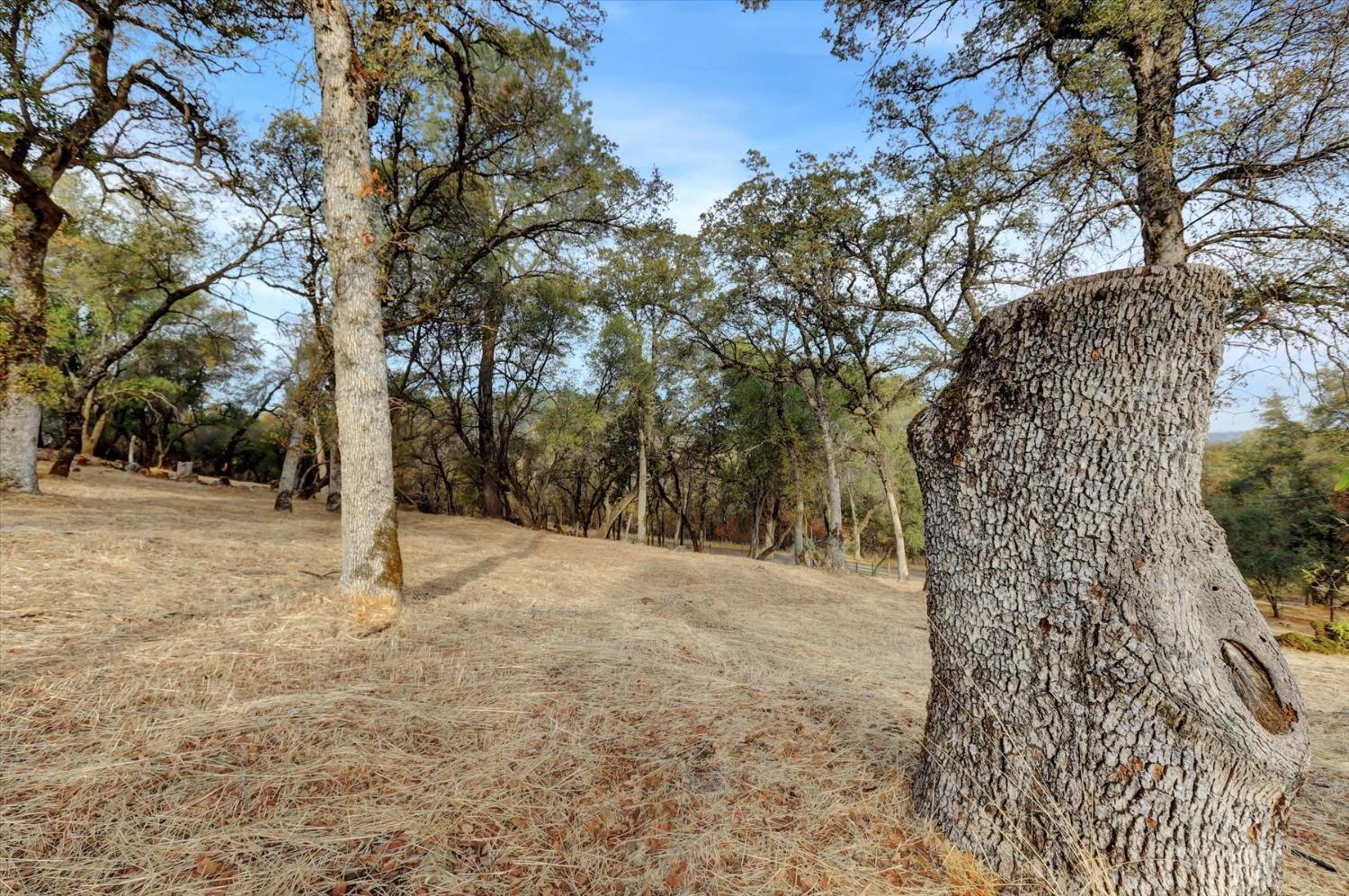 Ballantree Lane, Grass Valley, California image 35