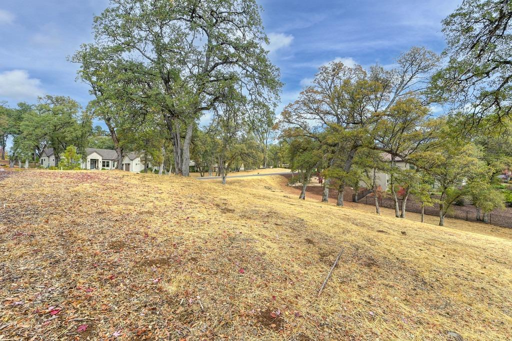 Austin Forest Circle, Auburn, California image 8