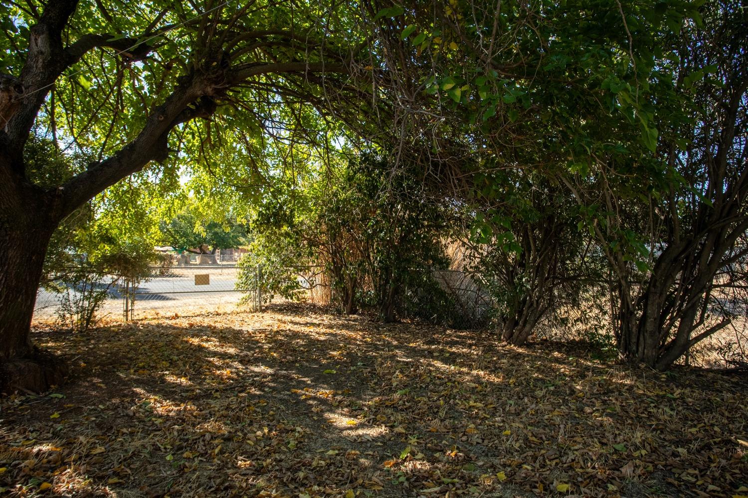 Detail Gallery Image 48 of 65 For 904 Thermalito Ave, Oroville,  CA 95965 - 3 Beds | 1 Baths