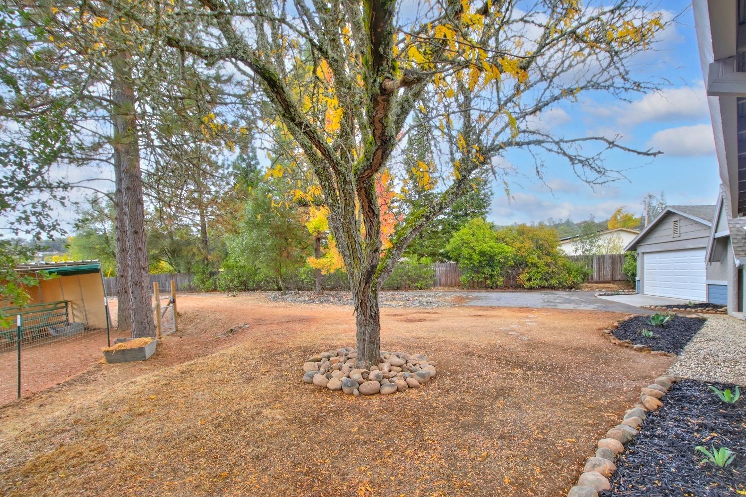 Detail Gallery Image 48 of 56 For 3317 Rancho Ct, Placerville,  CA 95667 - 3 Beds | 2 Baths