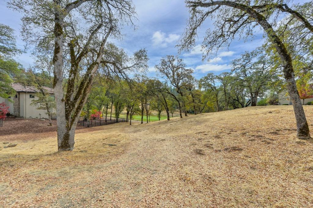 Austin Forest Circle, Auburn, California image 9