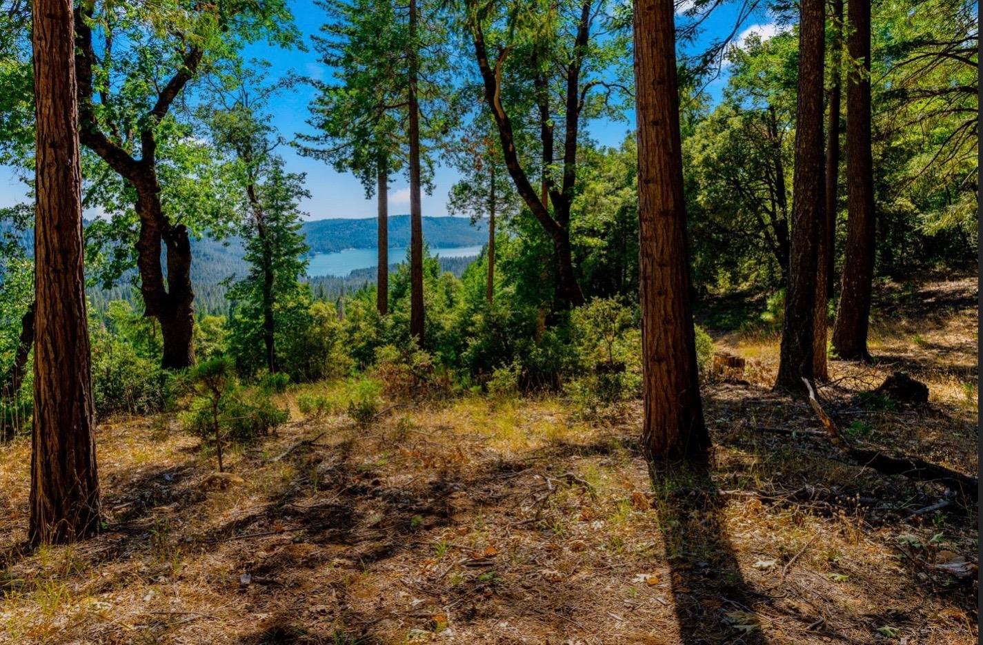 Detail Gallery Image 49 of 58 For 21885 Skypine Lakeview Ln, Nevada City,  CA 95959 - – Beds | – Baths