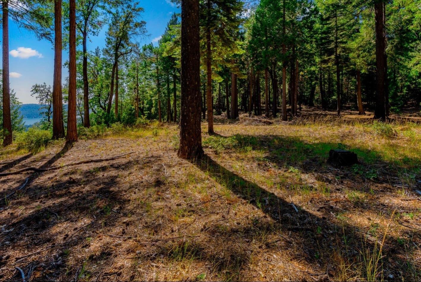 Detail Gallery Image 44 of 58 For 21885 Skypine Lakeview Ln, Nevada City,  CA 95959 - – Beds | – Baths