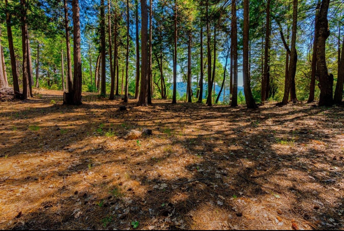 Detail Gallery Image 37 of 58 For 21885 Skypine Lakeview Ln, Nevada City,  CA 95959 - – Beds | – Baths