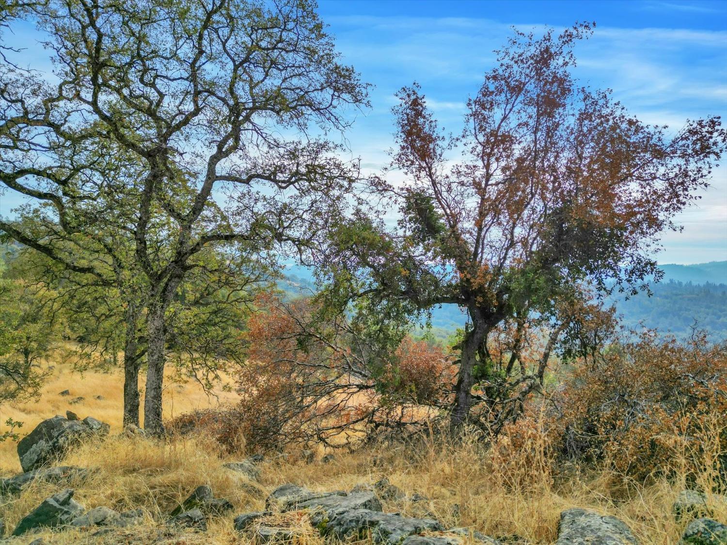 Ballantree Lane, Grass Valley, California image 49