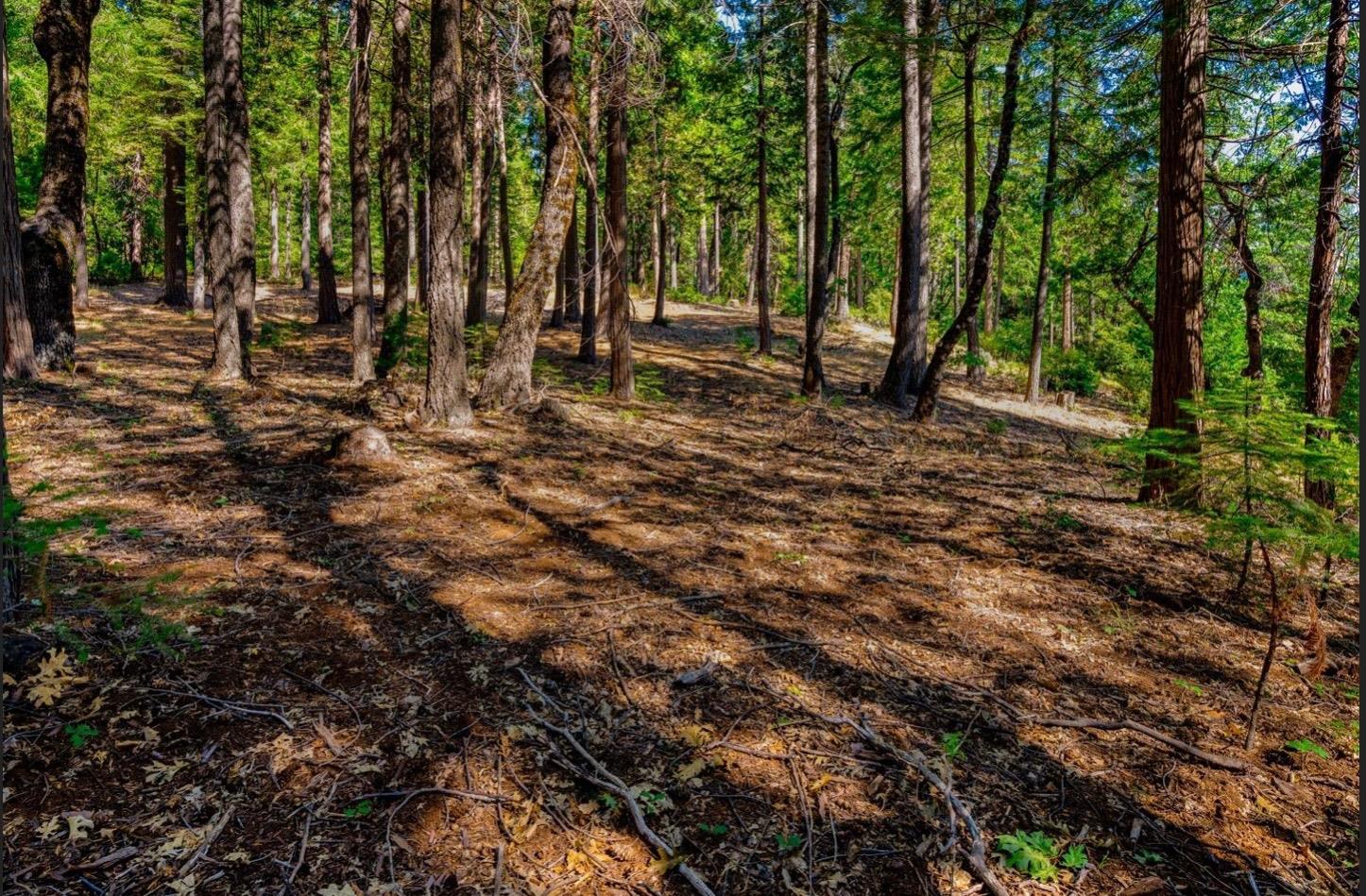 Detail Gallery Image 35 of 58 For 21885 Skypine Lakeview Ln, Nevada City,  CA 95959 - – Beds | – Baths