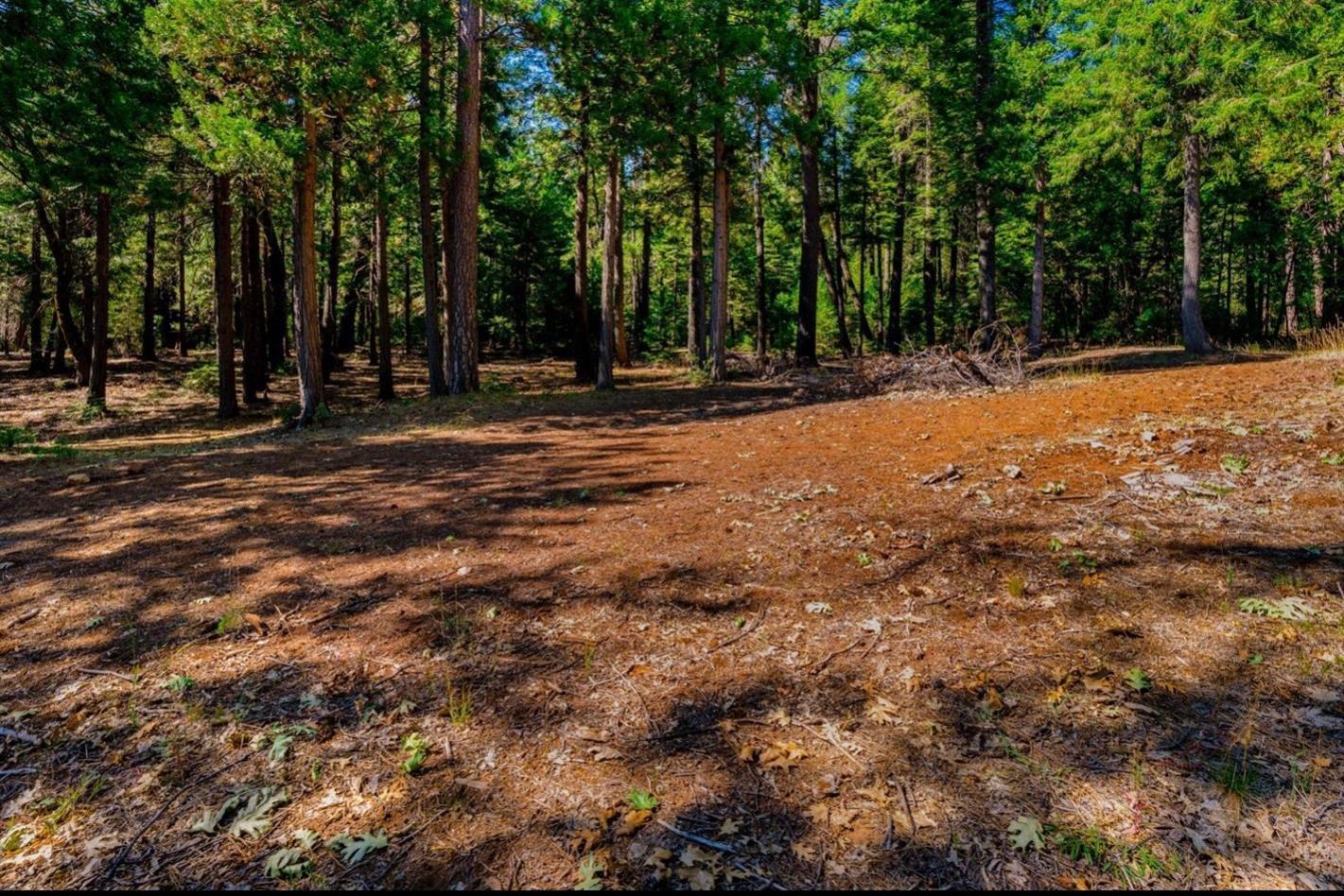 Detail Gallery Image 47 of 58 For 21885 Skypine Lakeview Ln, Nevada City,  CA 95959 - – Beds | – Baths