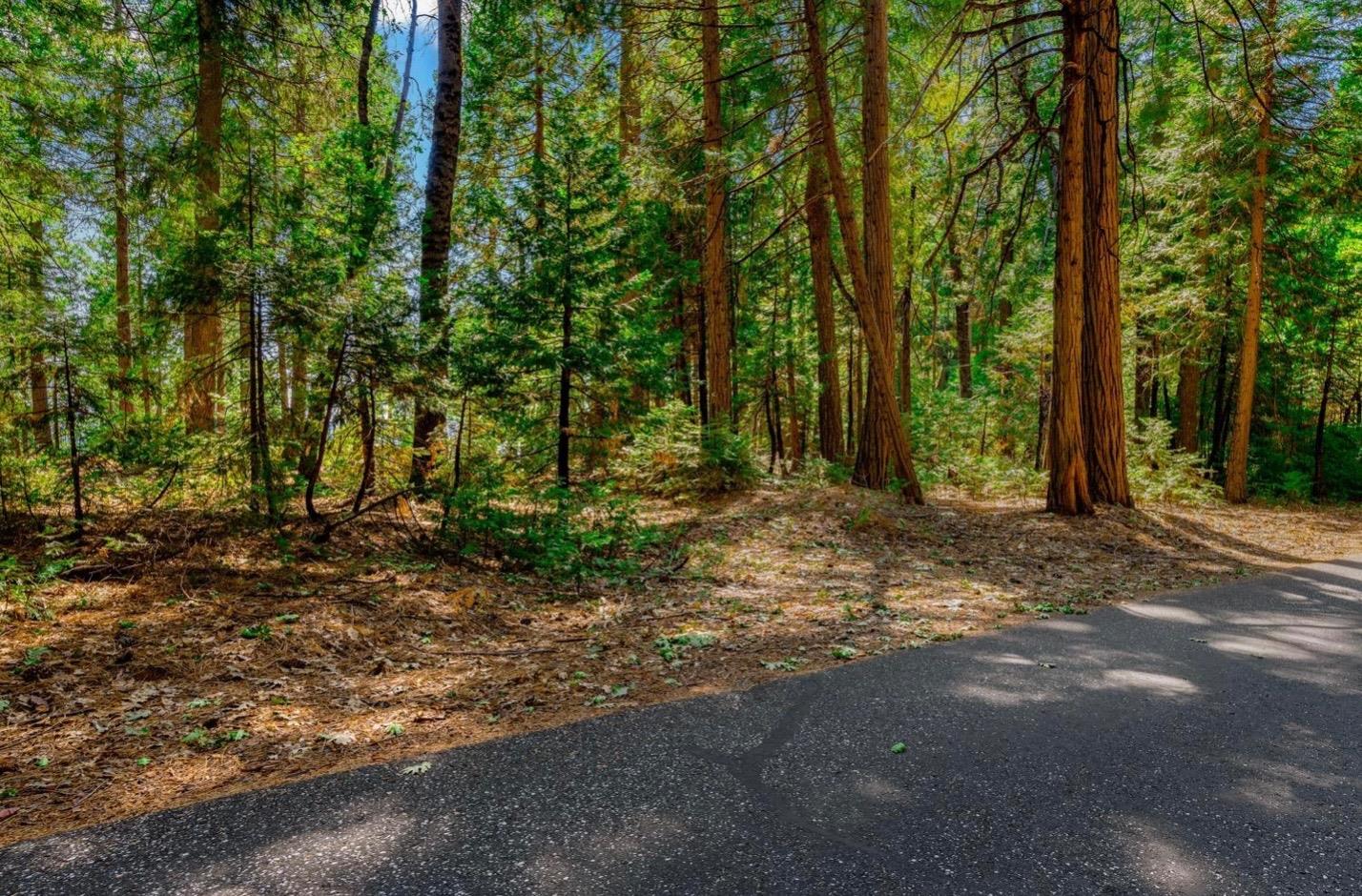 Detail Gallery Image 31 of 58 For 21885 Skypine Lakeview Ln, Nevada City,  CA 95959 - – Beds | – Baths