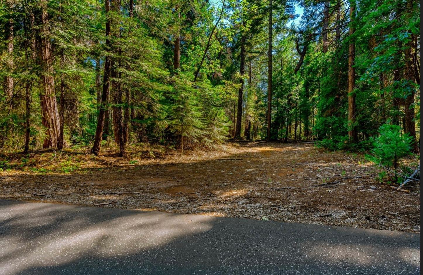 Detail Gallery Image 32 of 58 For 21885 Skypine Lakeview Ln, Nevada City,  CA 95959 - – Beds | – Baths