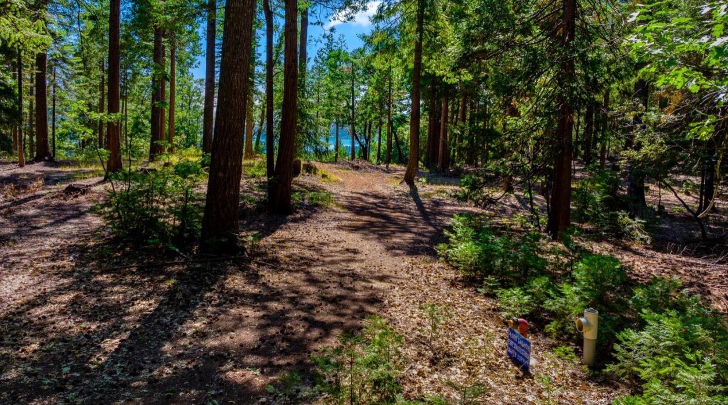 Detail Gallery Image 9 of 58 For 21885 Skypine Lakeview Ln, Nevada City,  CA 95959 - – Beds | – Baths