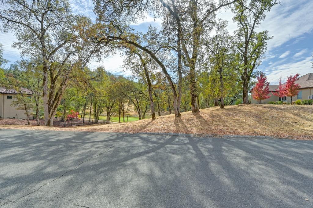 Austin Forest Circle, Auburn, California image 1