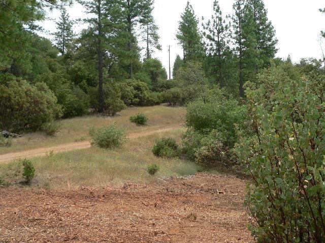 Detail Gallery Image 74 of 90 For 16490 Ponderosa Way, Volcano,  CA 95689 - – Beds | – Baths