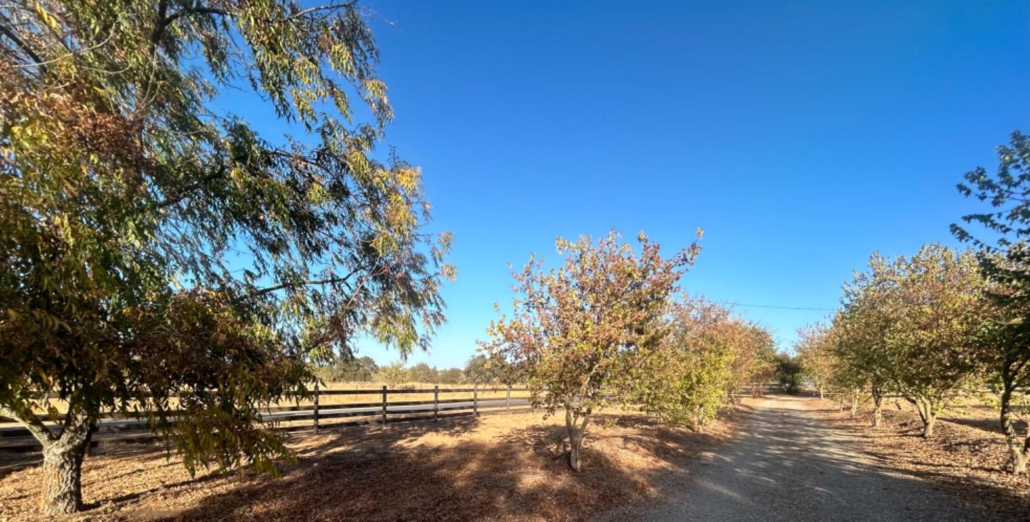 Whalen Road, Valley Springs, California image 6