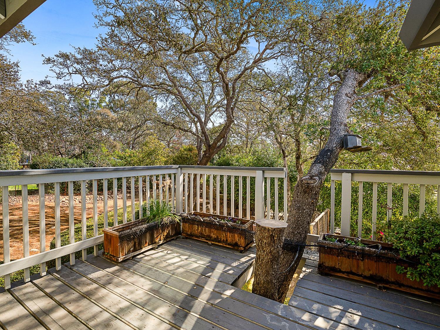 Detail Gallery Image 46 of 59 For 3525 Rocky Ridge Way, El Dorado Hills,  CA 95762 - 4 Beds | 3 Baths