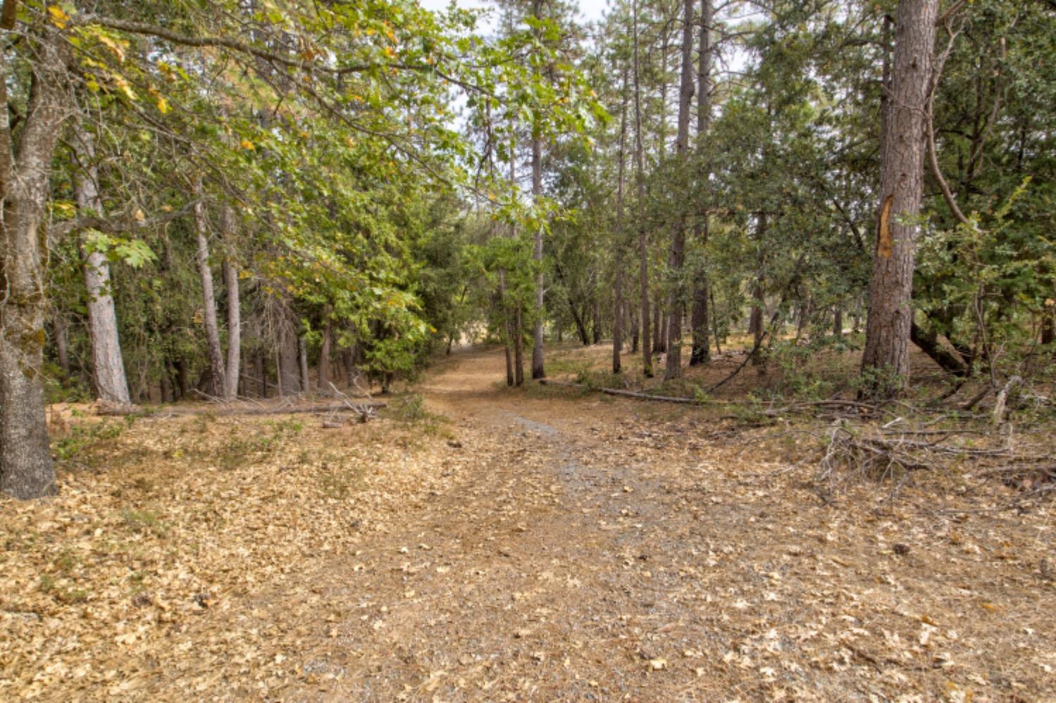 Detail Gallery Image 56 of 72 For 18714 Jesus Maria Rd, Mokelumne Hill,  CA 95245 - 3 Beds | 2 Baths