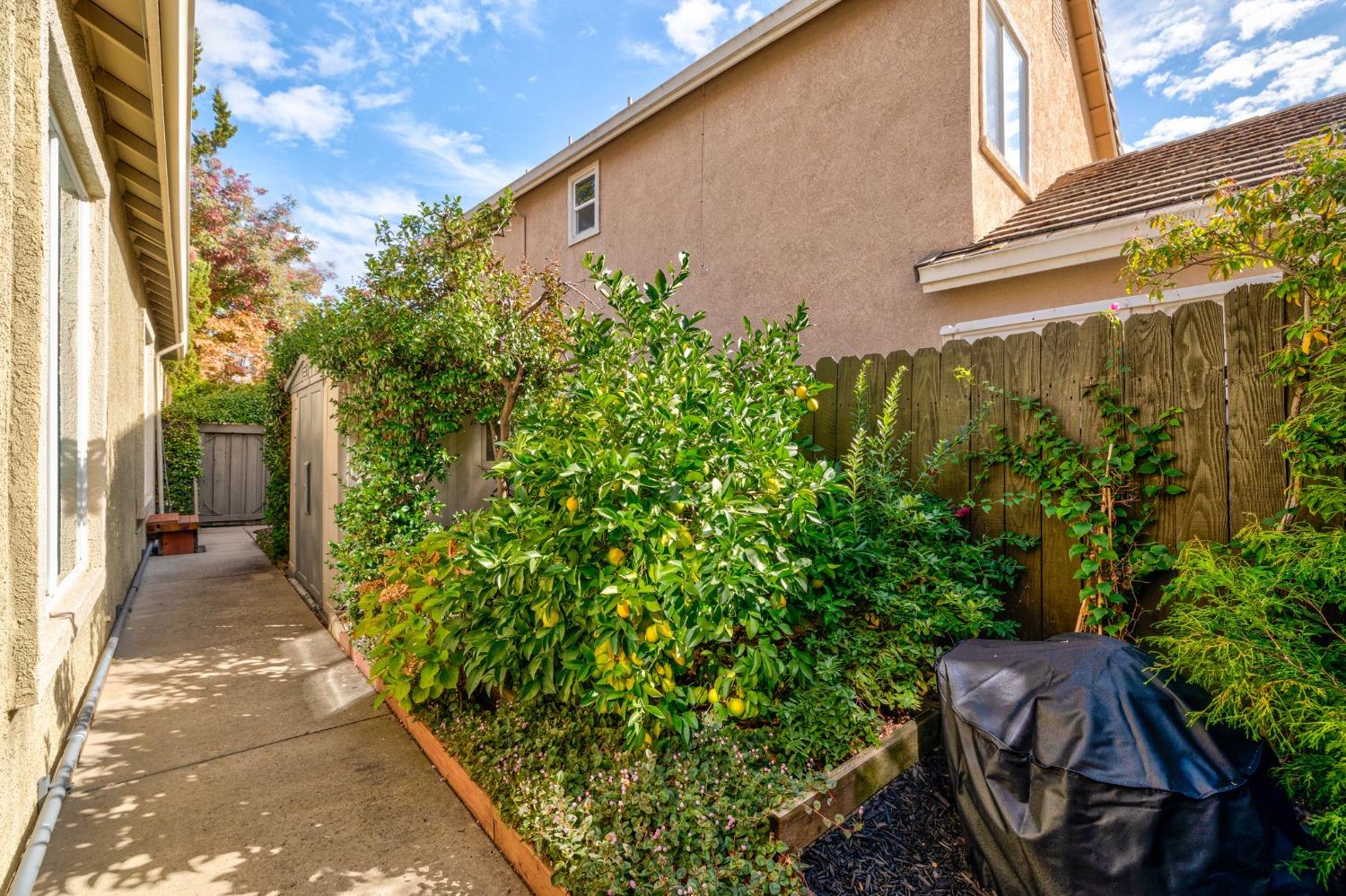 Detail Gallery Image 54 of 69 For 737 Morningside Ct, Folsom,  CA 95630 - 2 Beds | 2 Baths