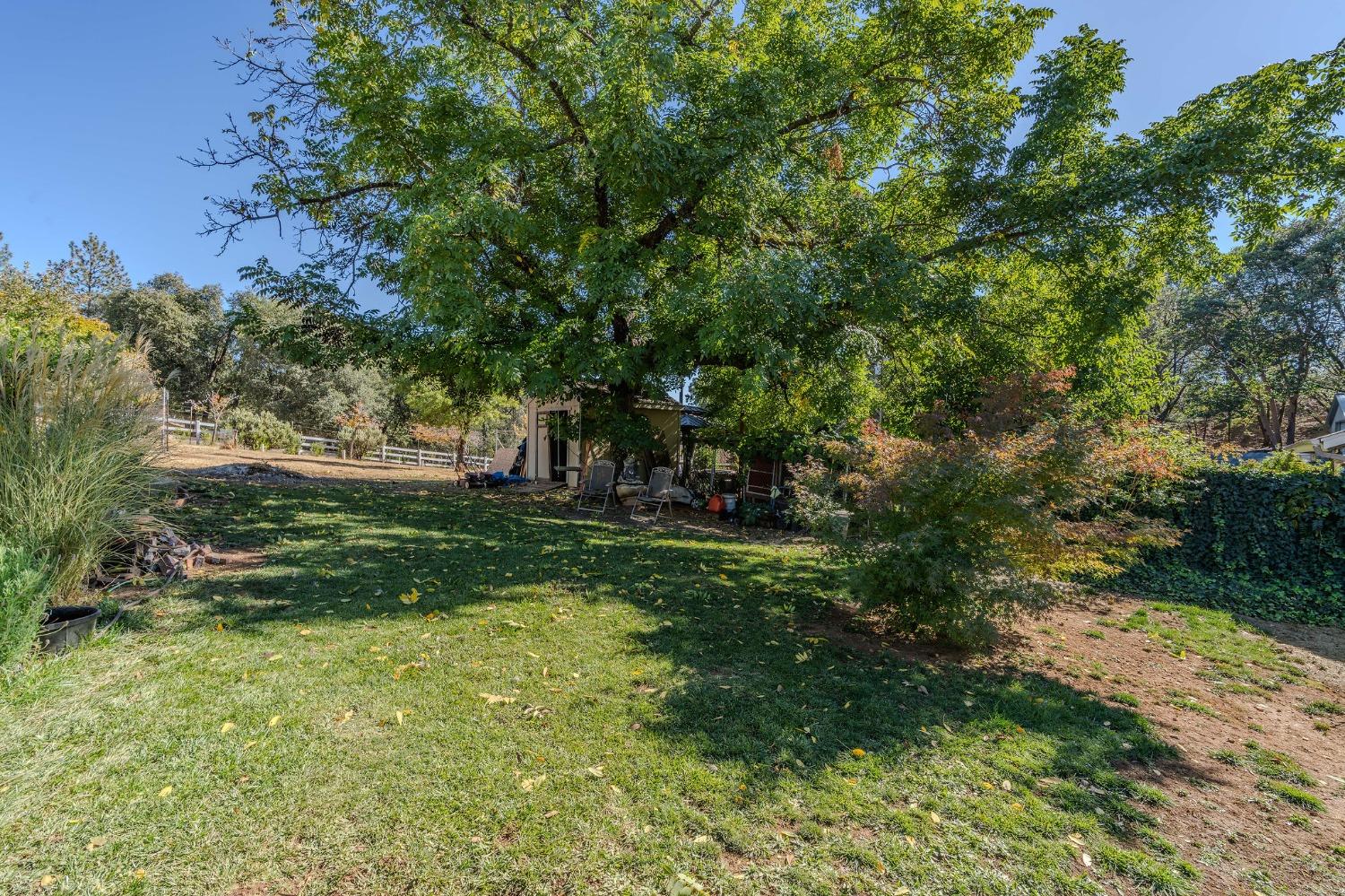 Detail Gallery Image 64 of 75 For 19552 Berry St, Pine Grove,  CA 95665 - 2 Beds | 1 Baths