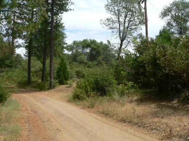 Detail Gallery Image 51 of 90 For 16490 Ponderosa Way, Volcano,  CA 95689 - – Beds | – Baths