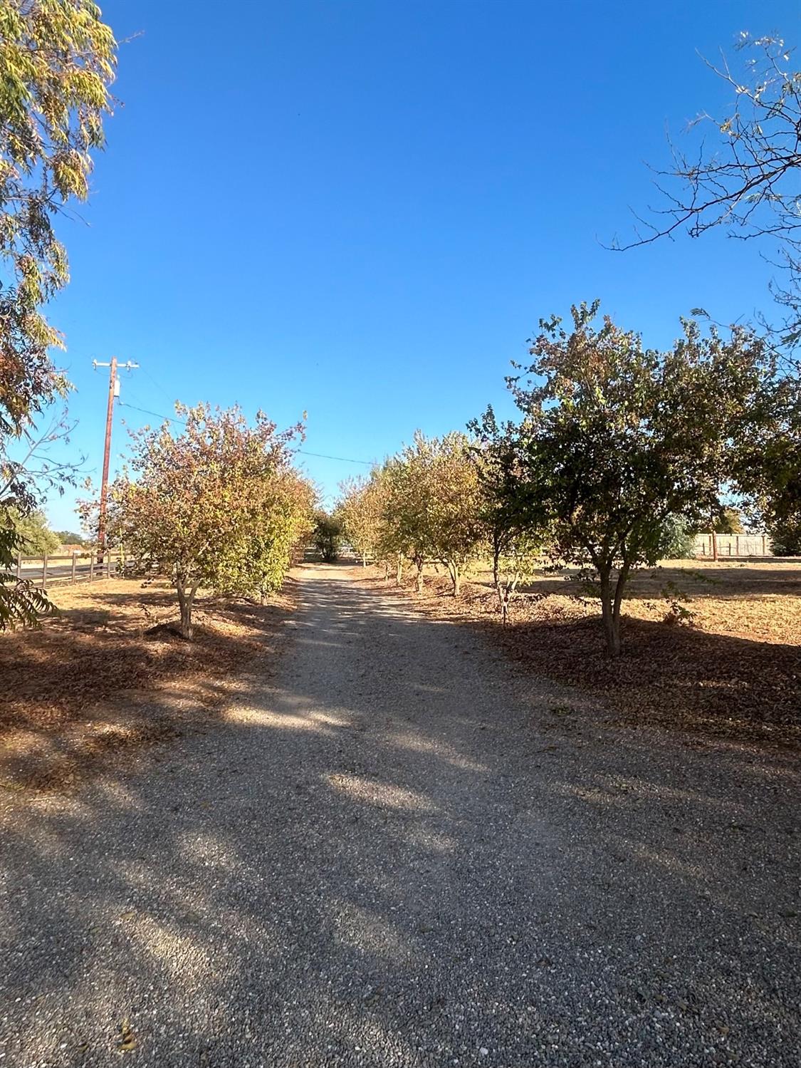 Whalen Road, Valley Springs, California image 8