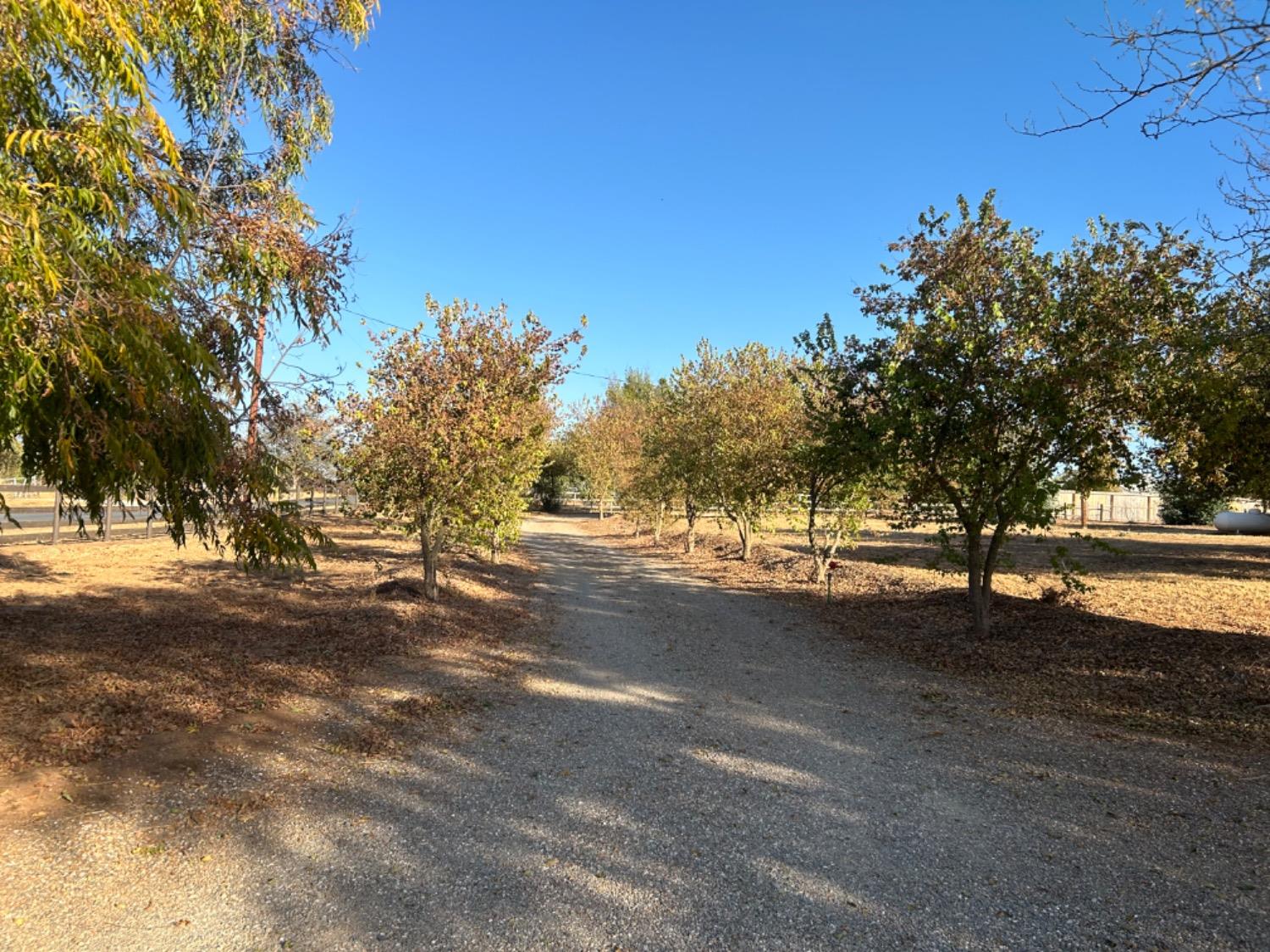 Whalen Road, Valley Springs, California image 9